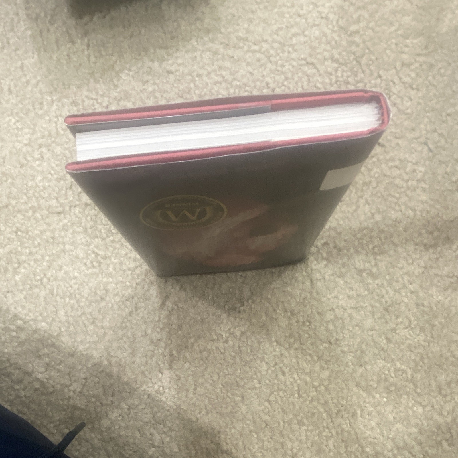 Blythe Woolston The Freak Observer Hardcover English YA Fiction Ex-Library