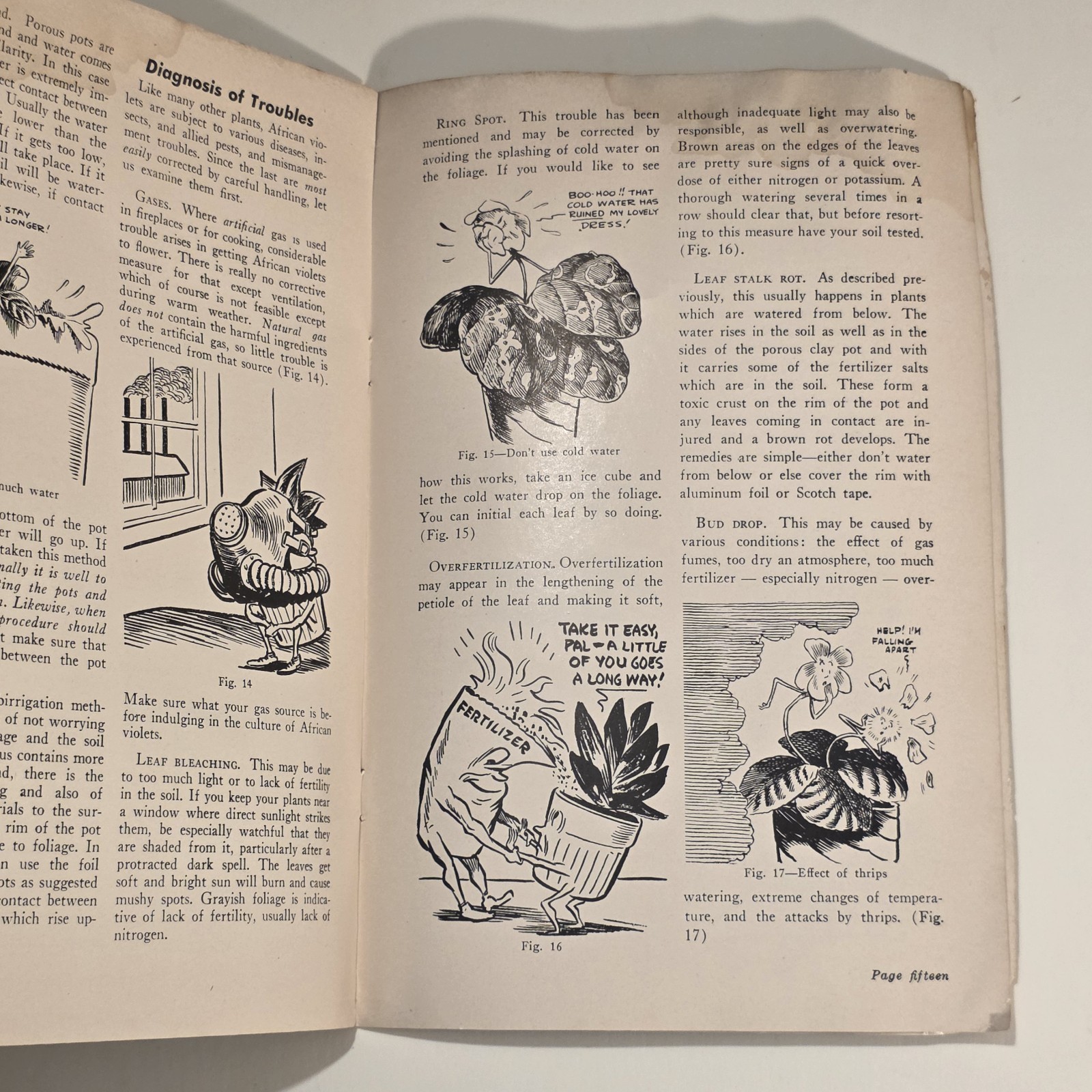 The Complete Book Of African Violets Helen Van Pelt Wilson 1952 3rd HC DJ
