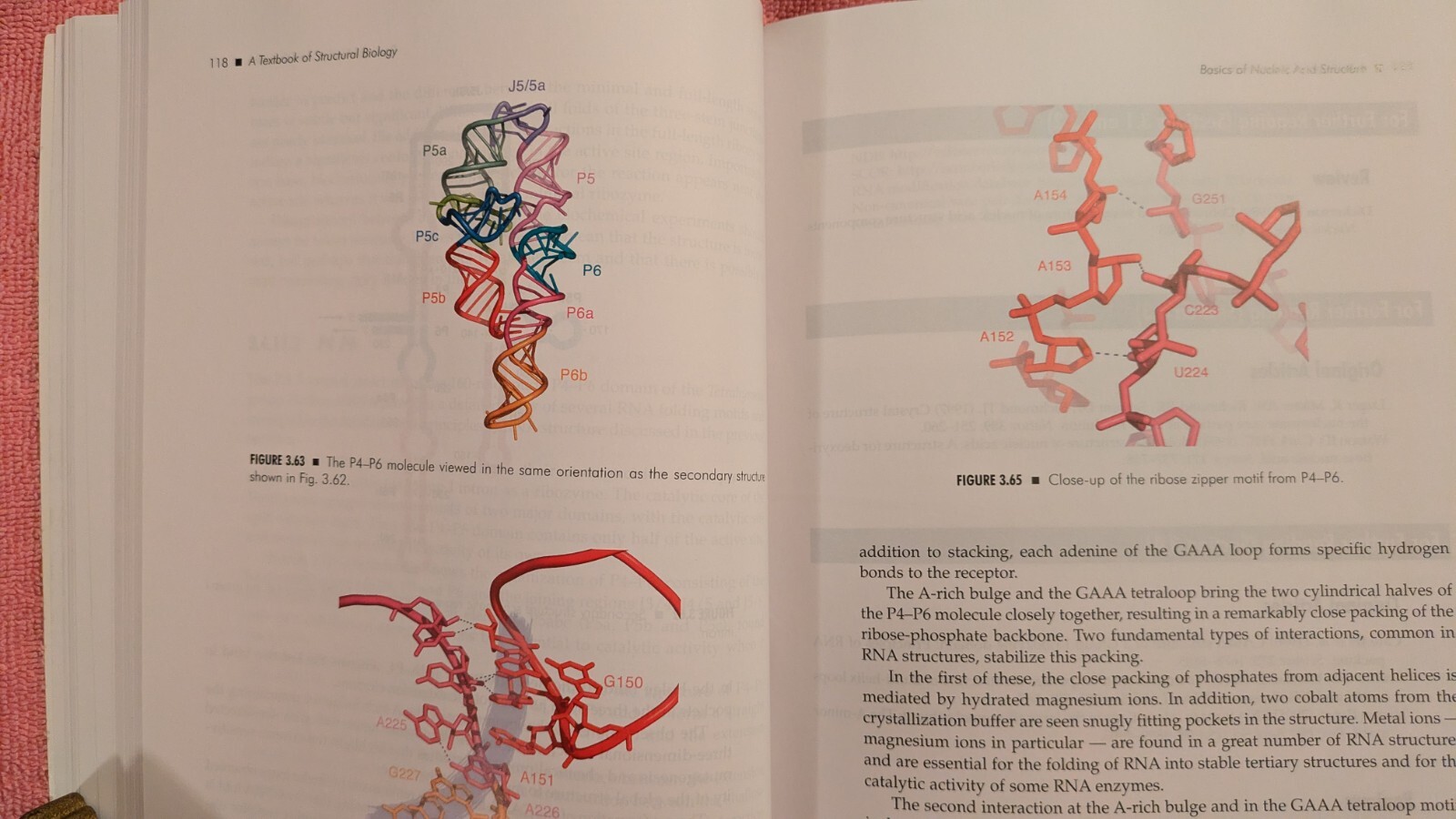 Anders Liljas et al, TEXTBOOK OF STRUCTURAL BIOLOGY, 2010, PB, NO CD, 572 Pages