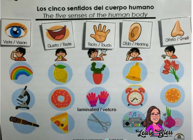 Learning Binder Kids 1 to 6 years / Carpeta de Aprendizaje niños 1 a 6 años