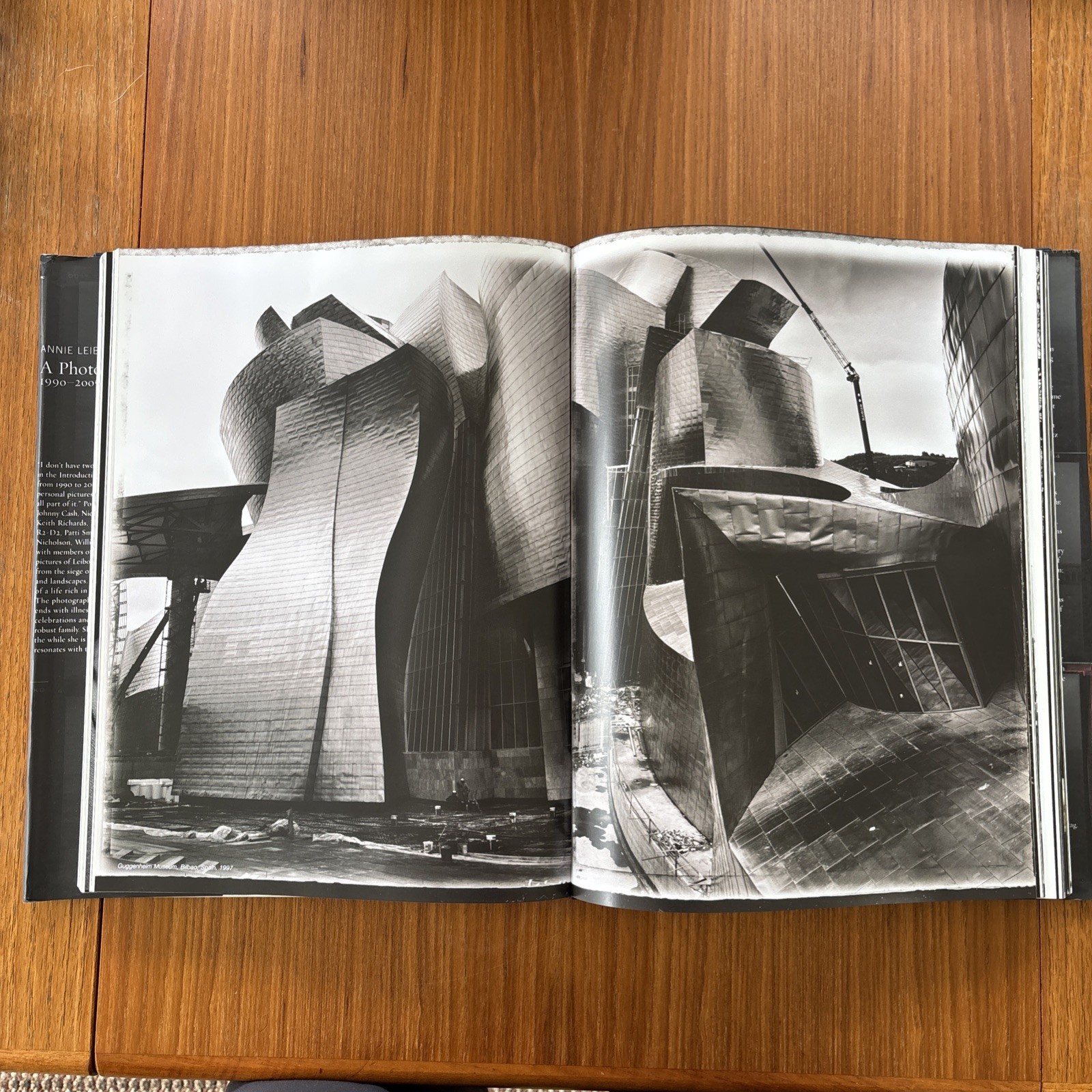 Annie Leibovitz – A Photographer’s Life 1990-2005 – HC/DJ 1ST EDITION