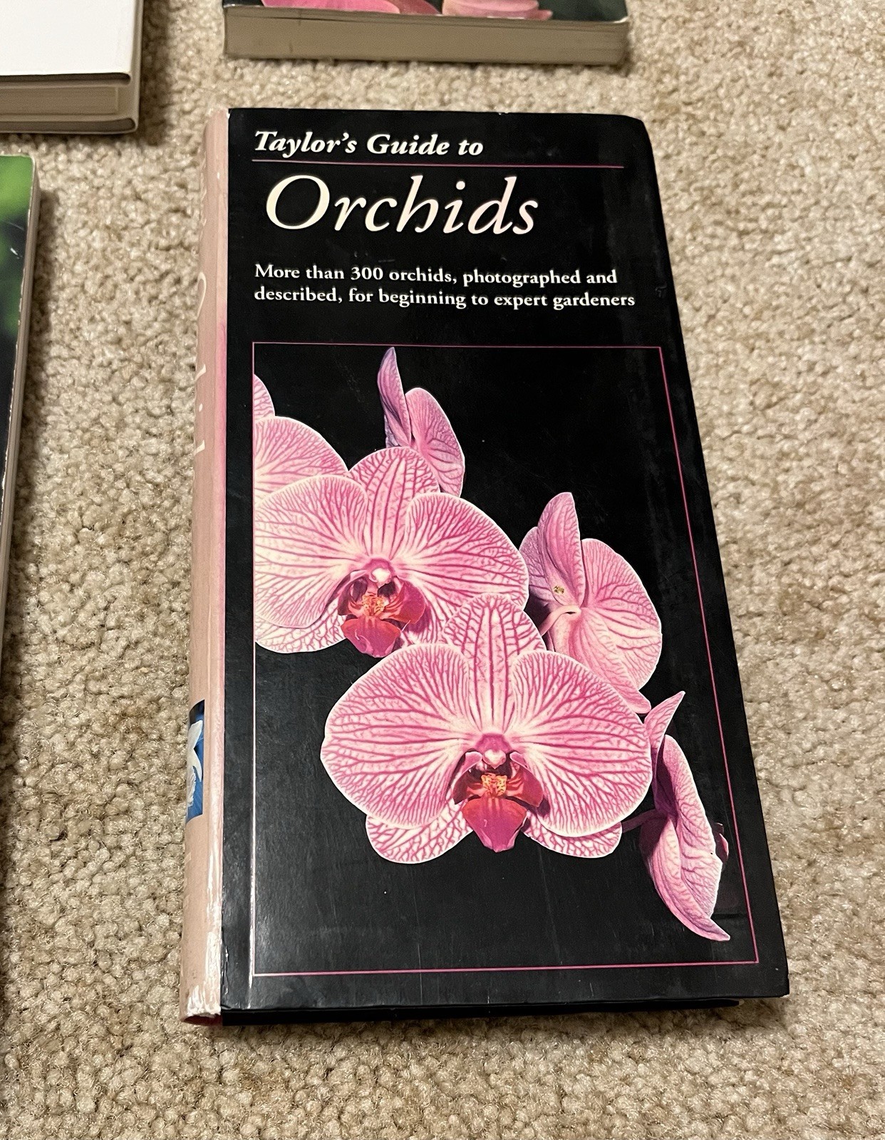 All About Growing ORCHID Flowers Garden Expert Guide Book Illustrated Lot x6 VG