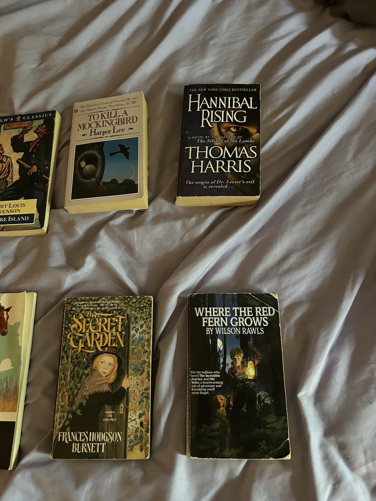 American Fiction Lot of Classics 10 books: Harper Lee, John Steinbeck, and more