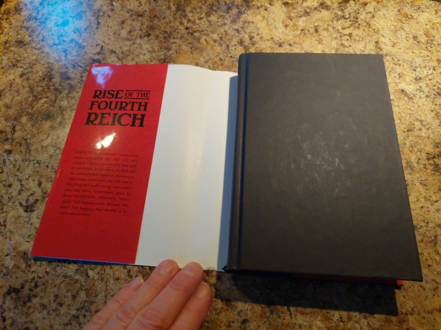 Rise of the Fourth Reich by Steve Deace and Daniel Horowitz