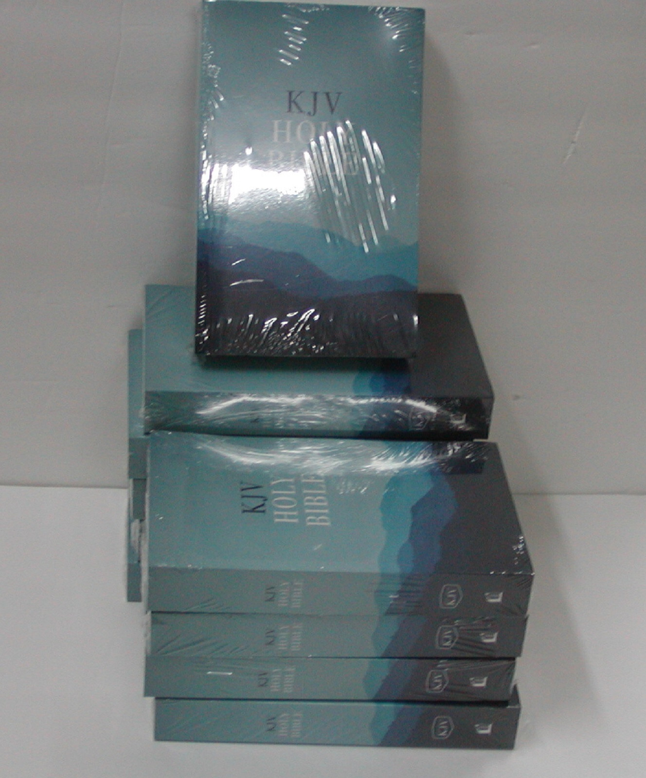 KJV Wholesale Outreach Bible Paperback BRAND NEW Case Lot of 28 Bibles!!