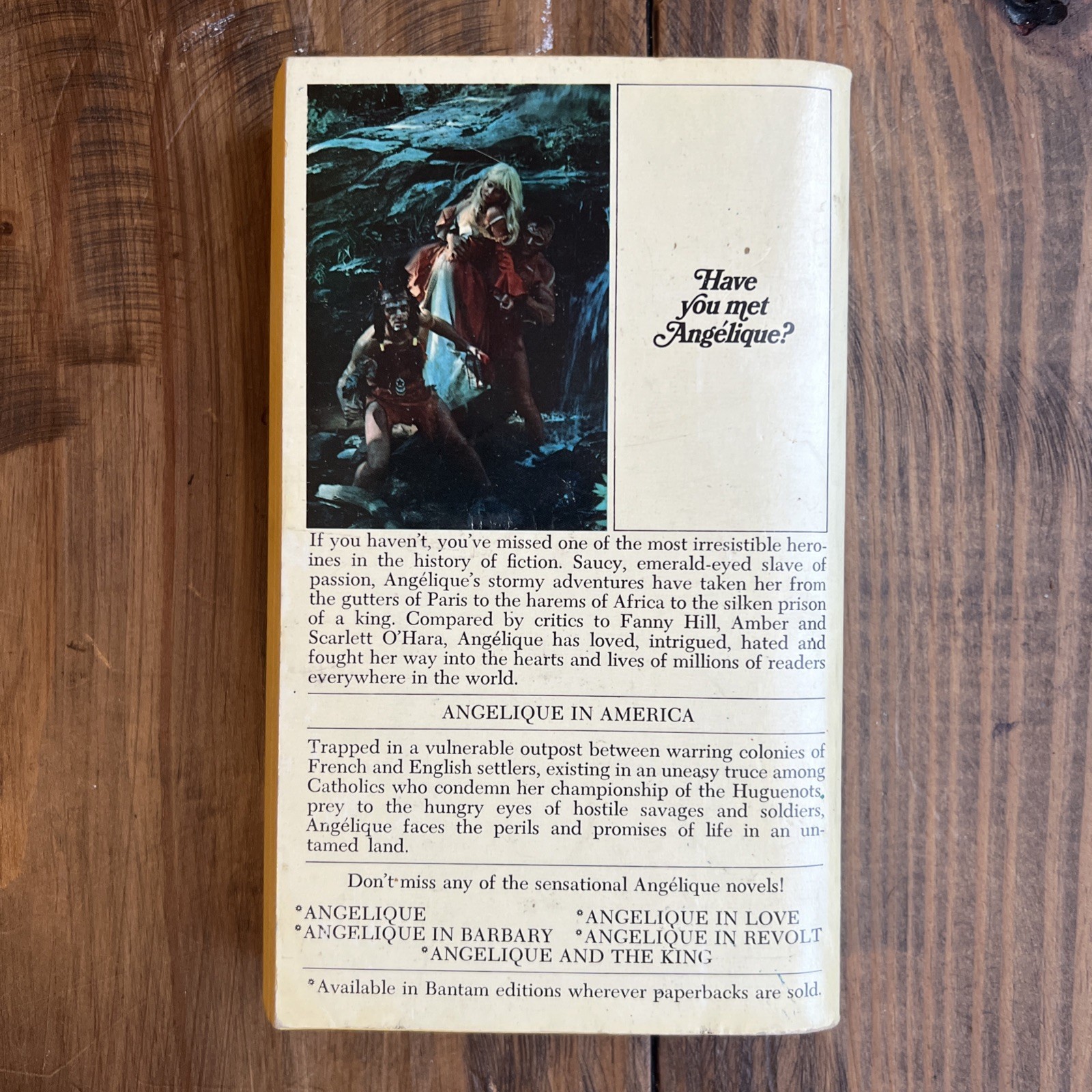 Countess Angelique Sergeanne Golon 1969 Bantam Paperback Historical Romance