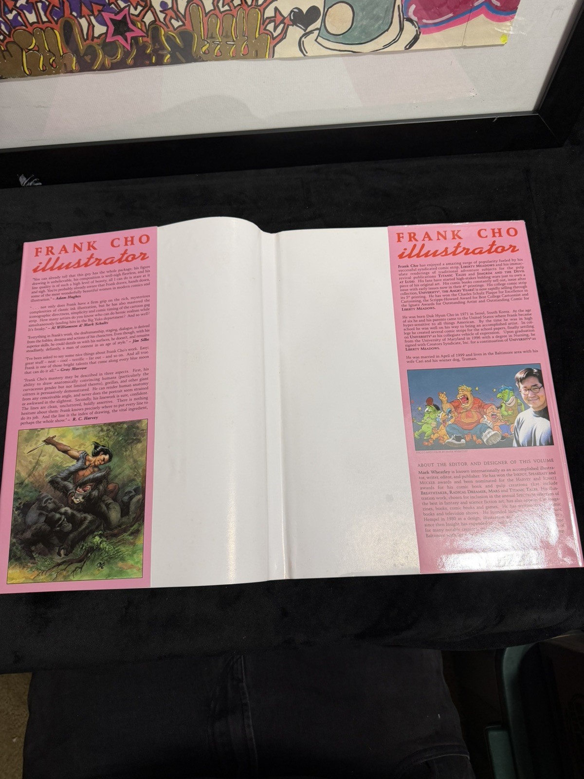 Frank Cho Illustrator, 2000, Hardcover, Regular Edition With Dust Jacket