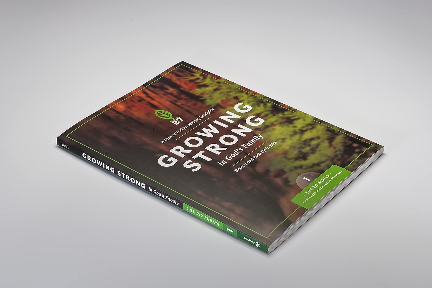 Strengthen Your Faith: Rooted in God’s Family (The 2:7 Series)