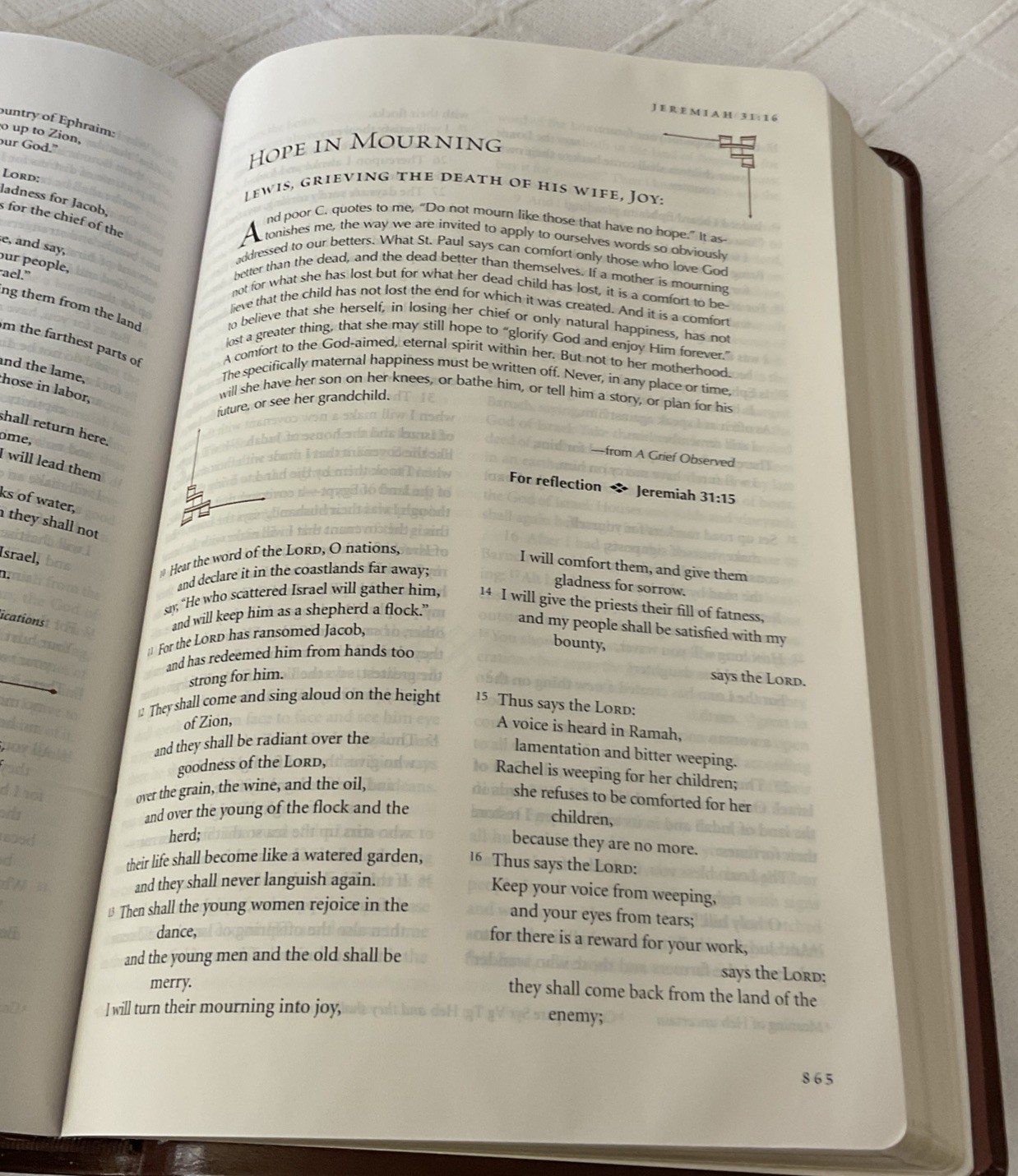 The C. S. Lewis Bible NRSV LEATHER