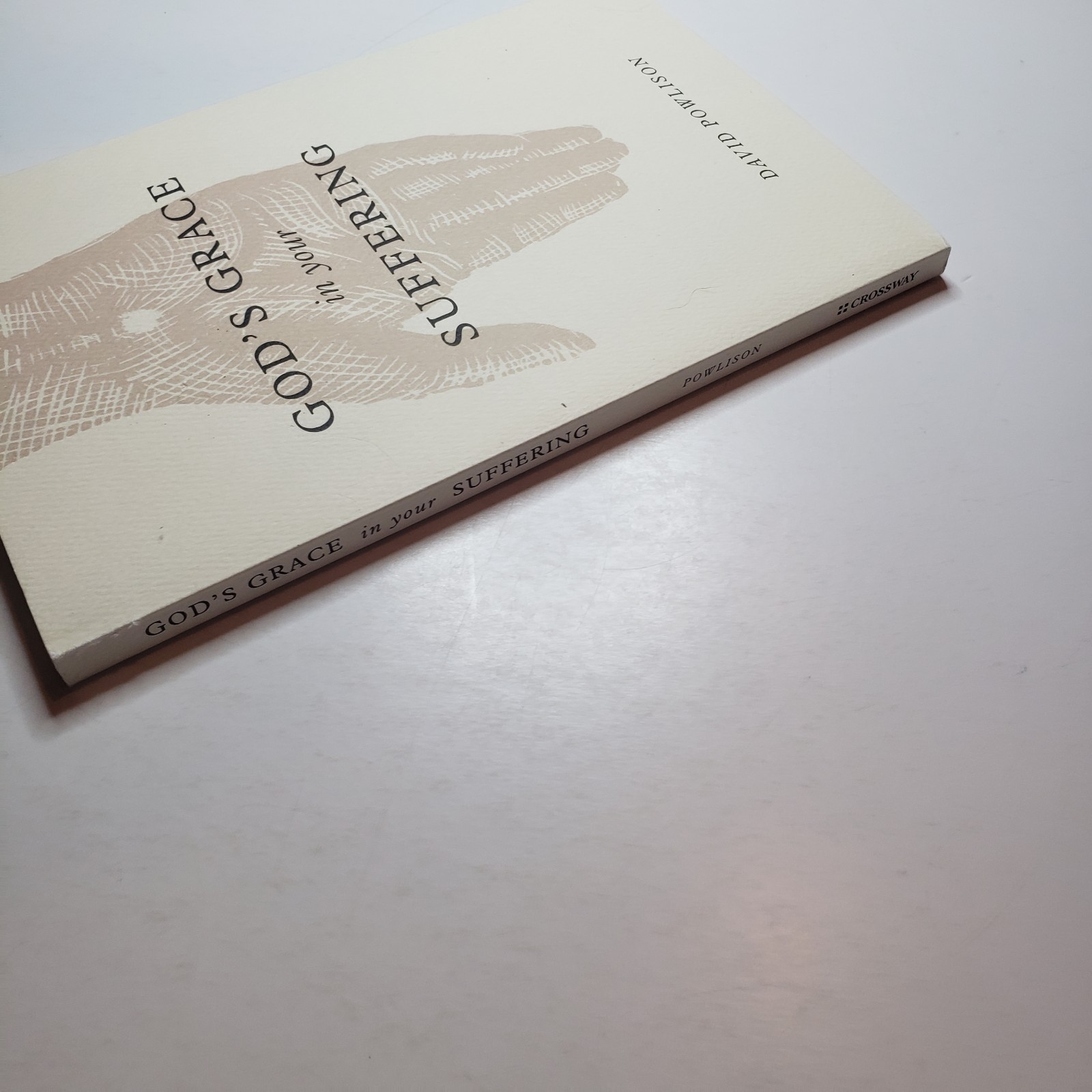 God’s Grace In Your Suffering PB David Powlison Crossway Workbook Scripture Hard