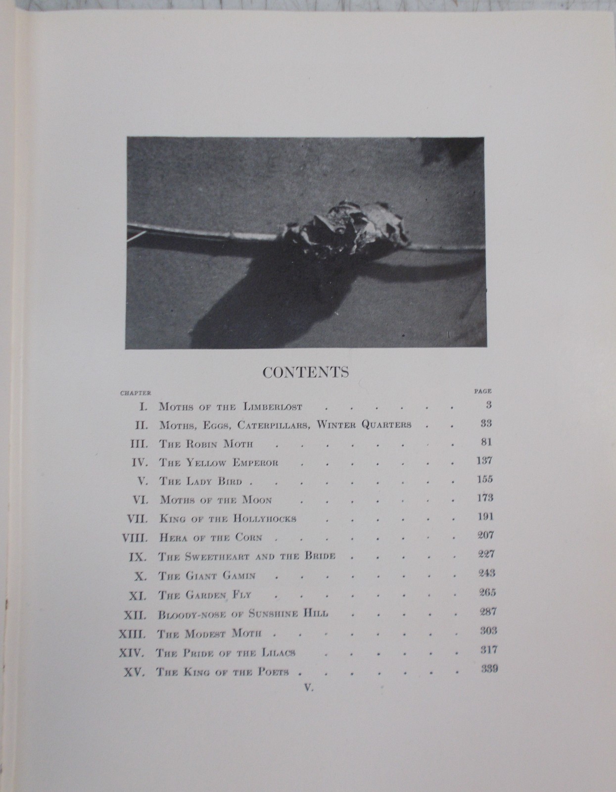 Antique-Moths of the Limberlost by Gene Stratton-Porter, 1921, VGC