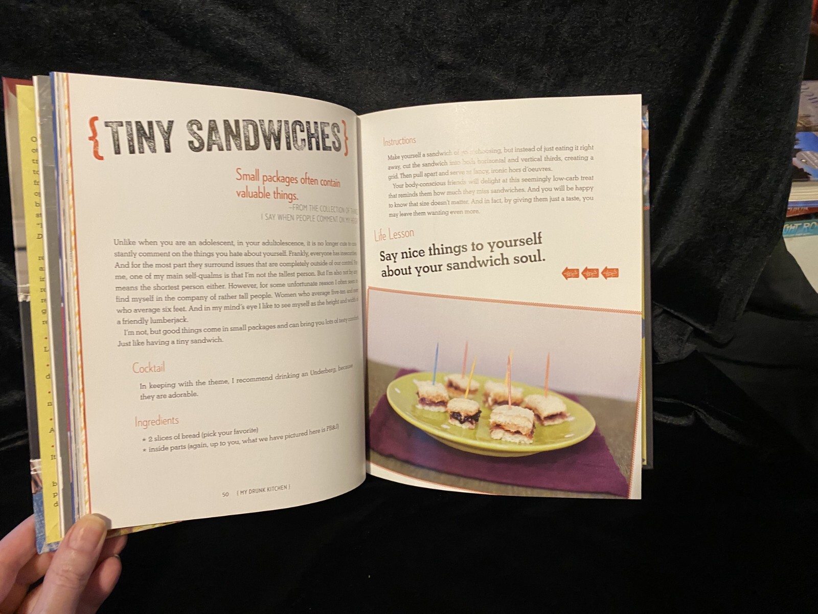My Drunk Kitchen Hannah Hart Cook Book Journal Advice Cooking Internet Show