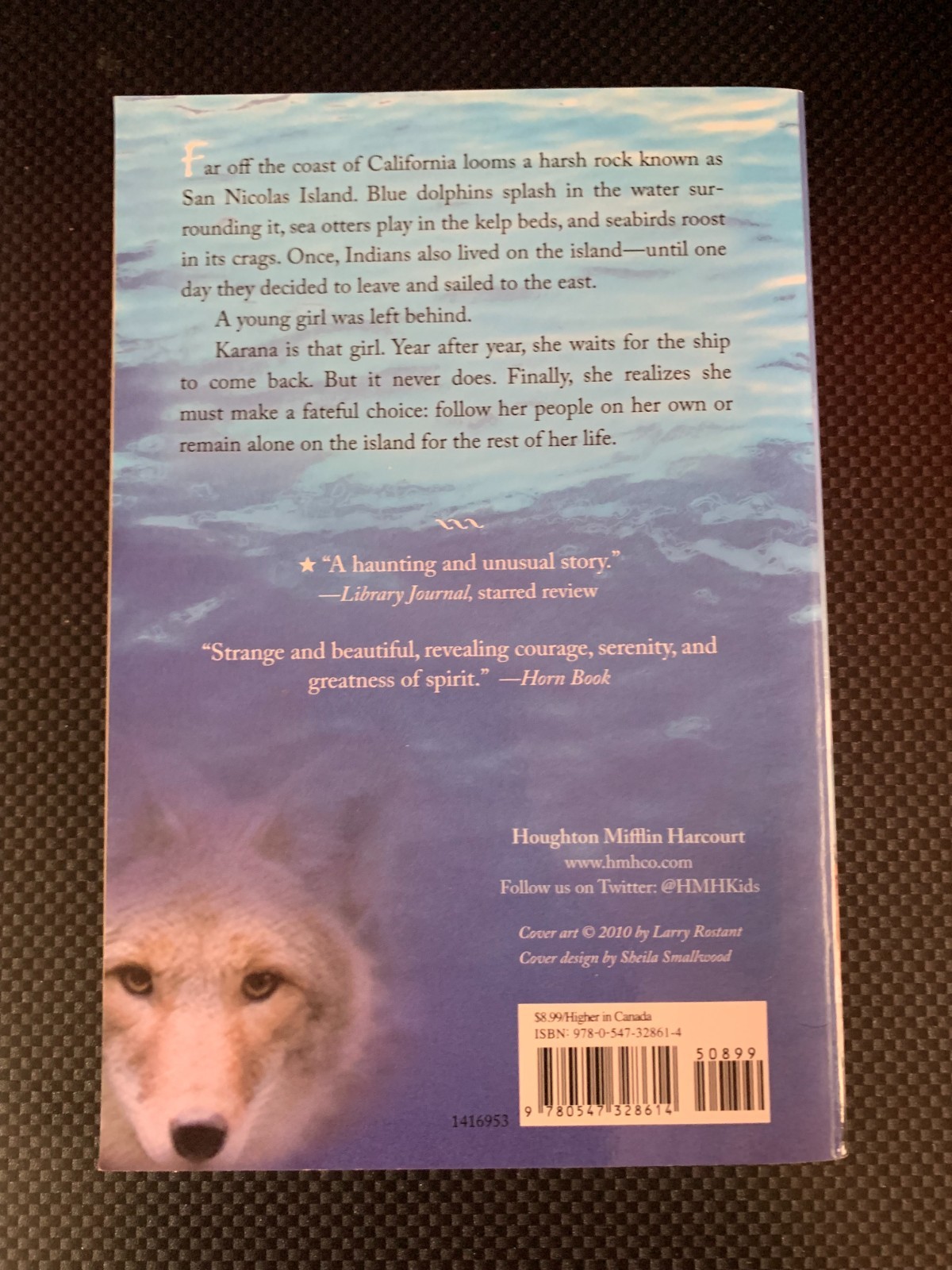 Island of the Blue Dolphins – Paperback By ODell, Scott – VERY GOOD