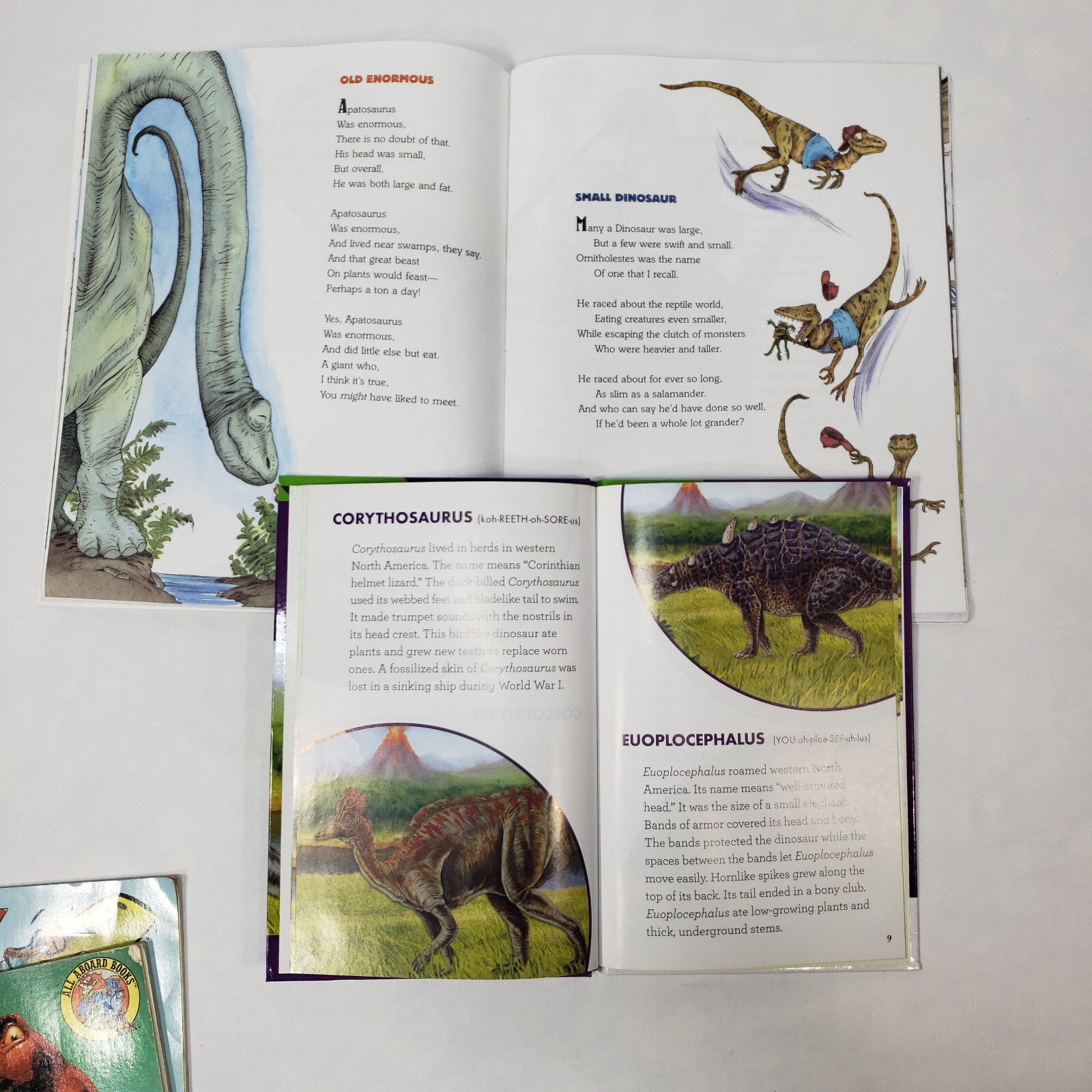 Kids Books About Dinosaurs Lot Of 10 Homeschool Classroom Library Picture Books