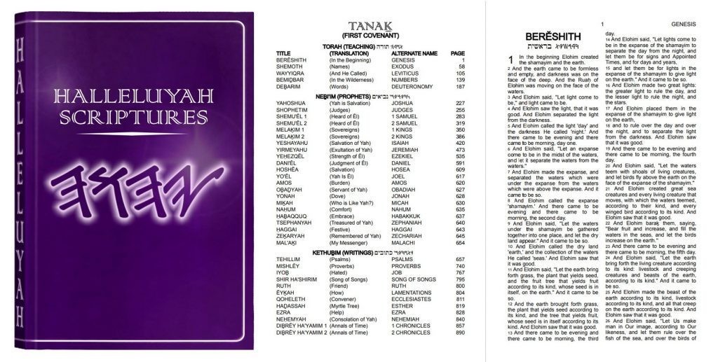 Restored NAMES Bible 16 In A Box – THE BEST BIBLE – FREE SHIPPING