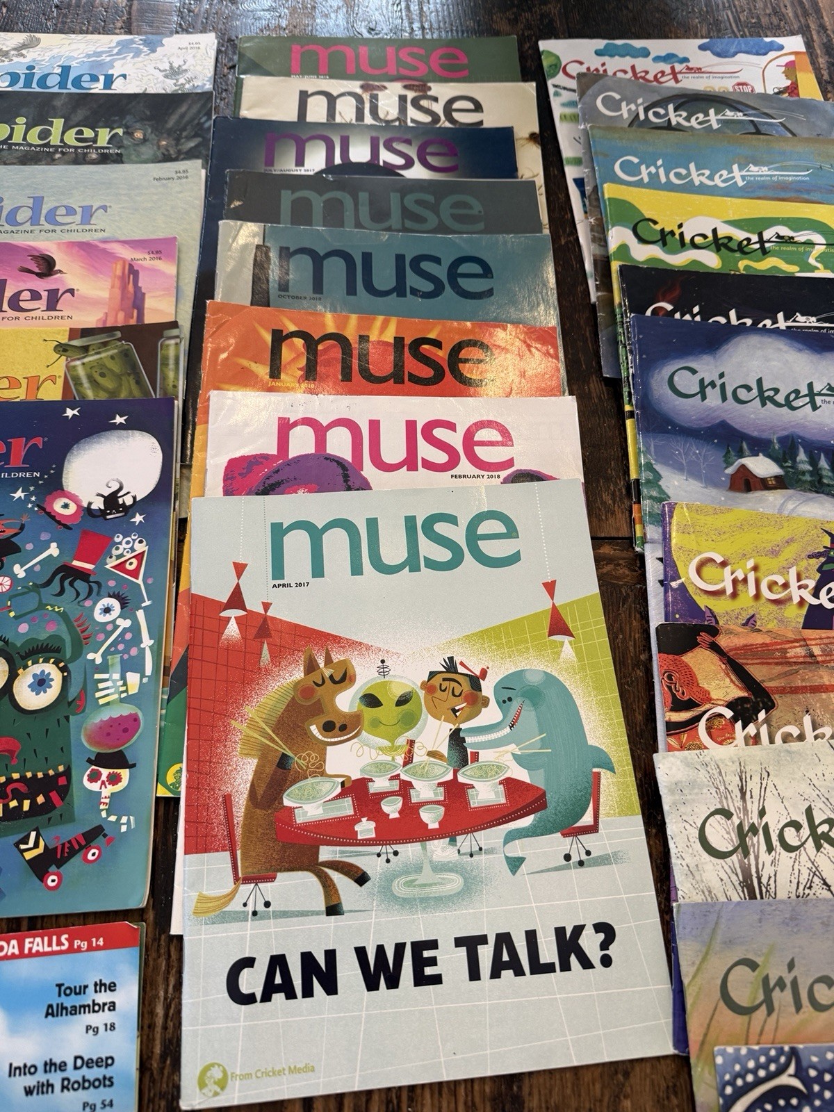 Cricket Muse Dig Cicada Spider Educational Mags 2010s Lot Of 33 Homeschool