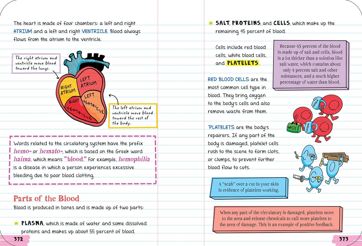 Everything You Need to Ace Biology in One Big Fat Notebook
