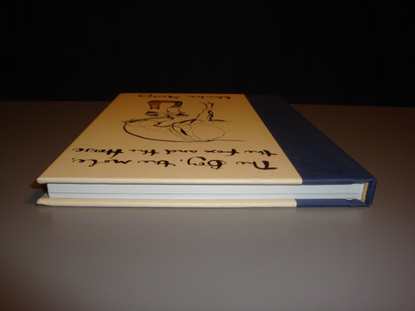 The Boy The Mole The Fox and the Horse Hardcover Charlie Mackesy Philosophy Art