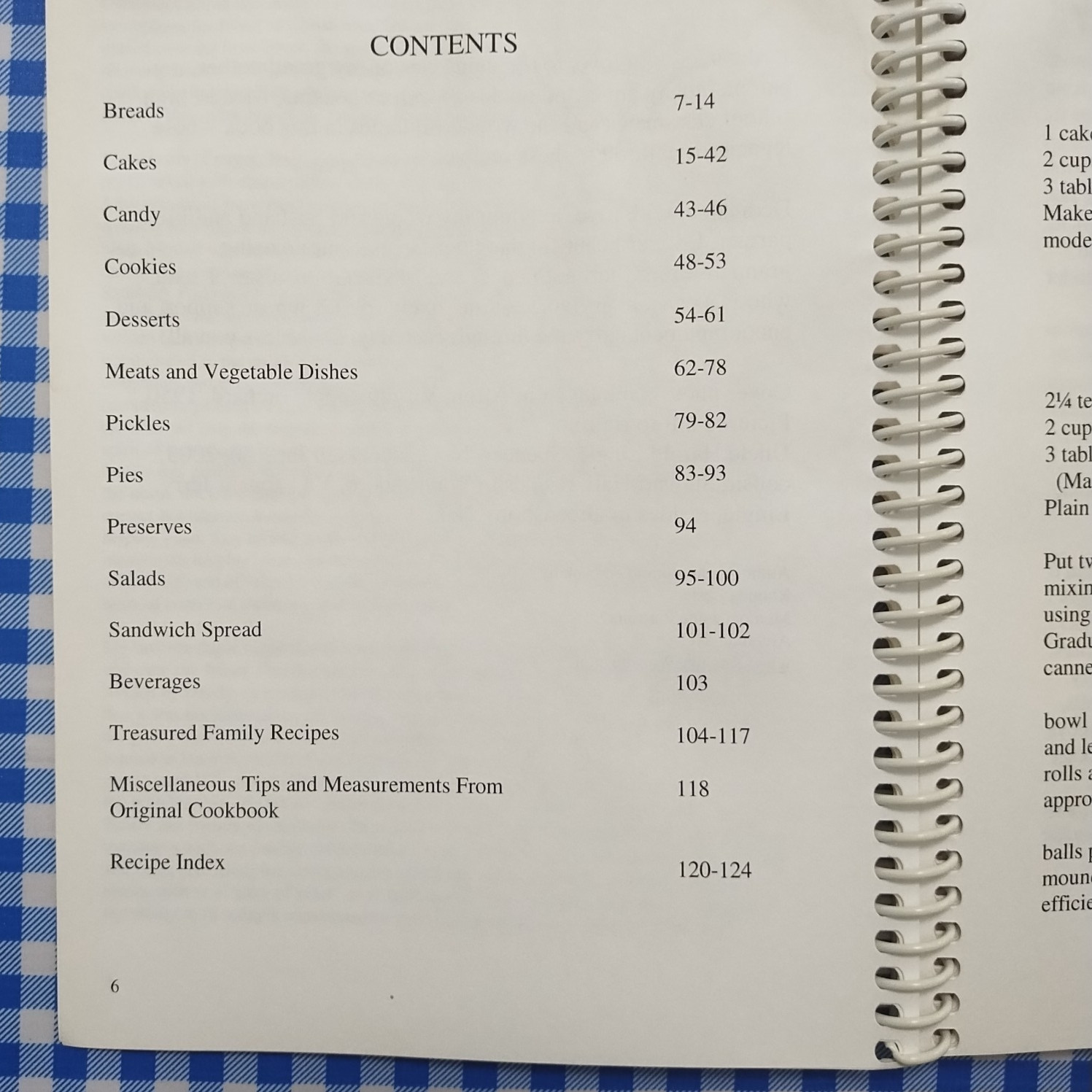 Old South Comfort Food Vintage Recipes From the 1930s-1940s Gail Cauble Gurley