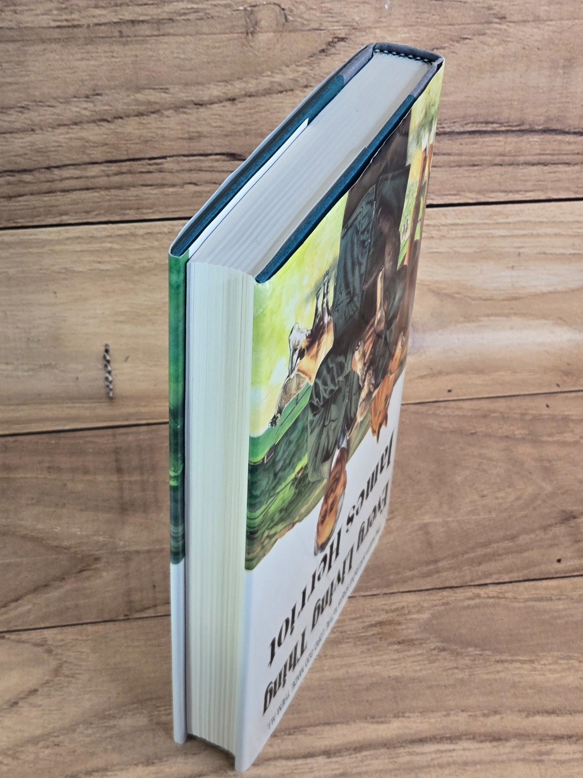 Every Living Thing James Herriot Hardcover First Edition 1st print 1992 Like New