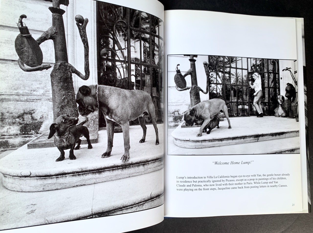 PICASSO & LUMP: A Dachshund’s Odyssey – David Douglas Duncan – HC/First Edition