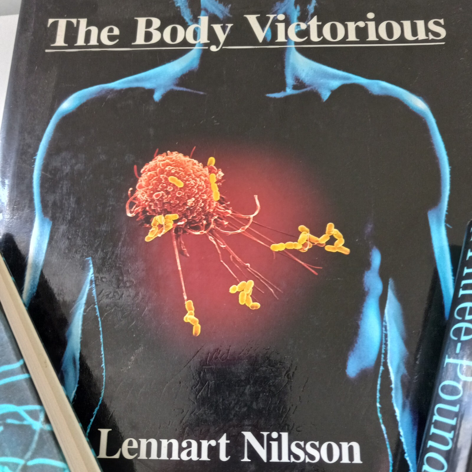 3 Fascinating Books On The Brain And The Body: The 3 Lb. Enigma, The Brain…