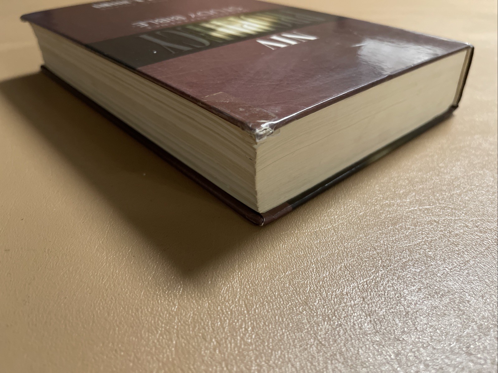 NIV Prophecy Marked Reference Study Bible 1998 Hardcover Text 1984