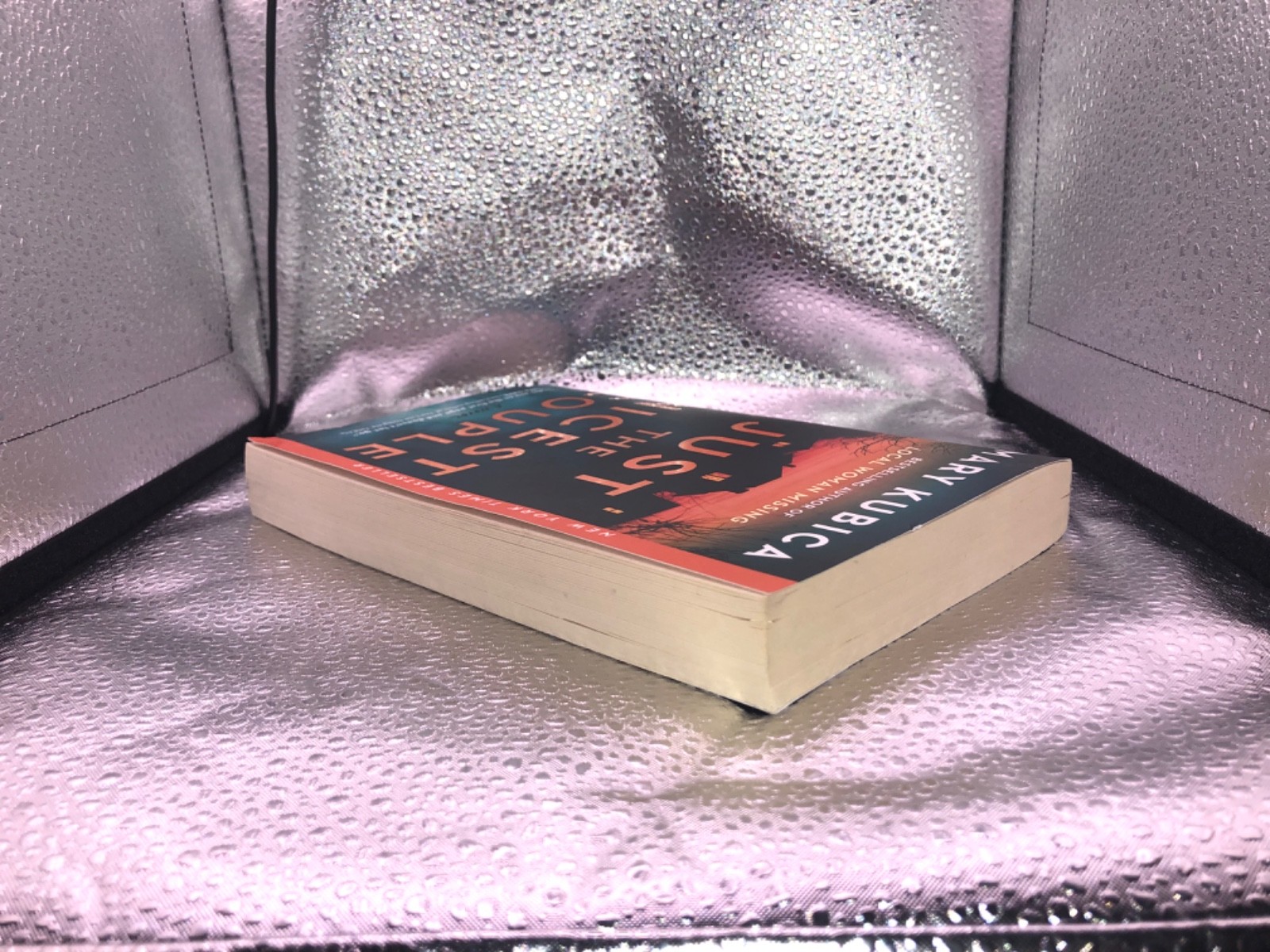 Mary Kubica – Just The Nicest Couples Paperback SEE DESCRIPTION