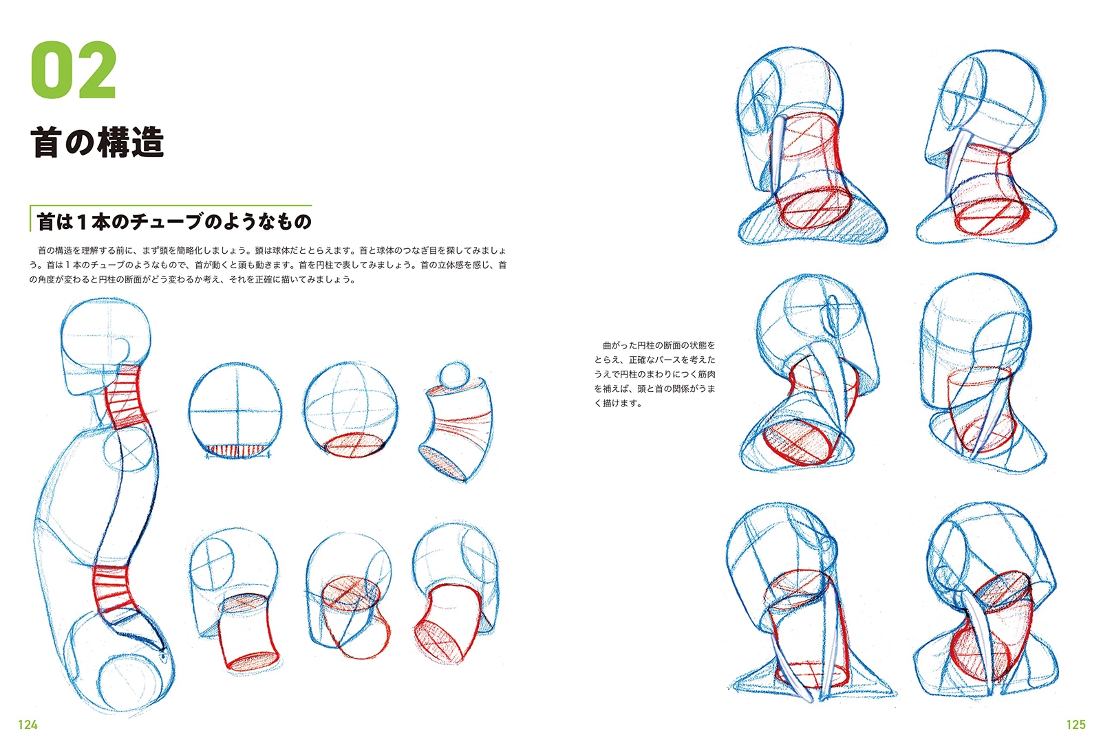 Human Anatomy Drawing Master Guide: Character Design Basics, Large Book