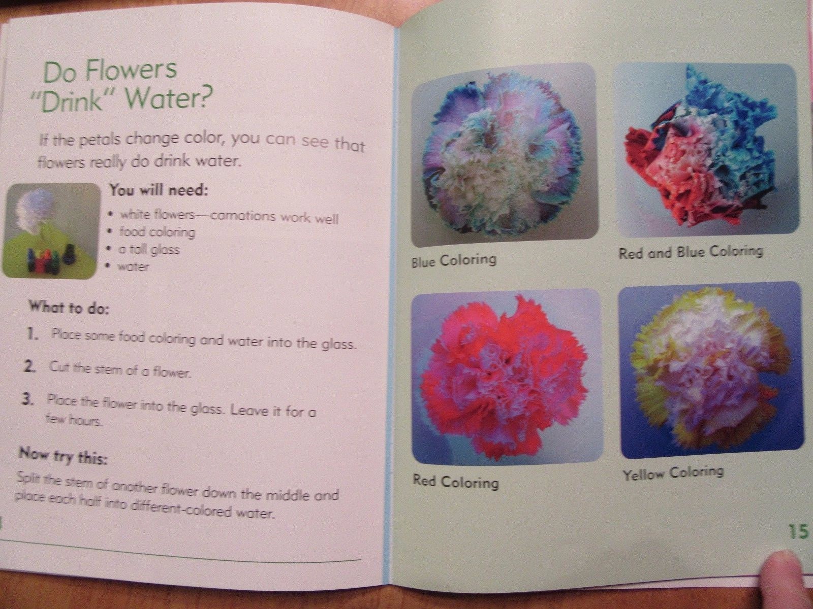 Lot of 2 NEW Go Facts Science: Sea Life & Flowers Newbridge Paperbacks Ages 6-9