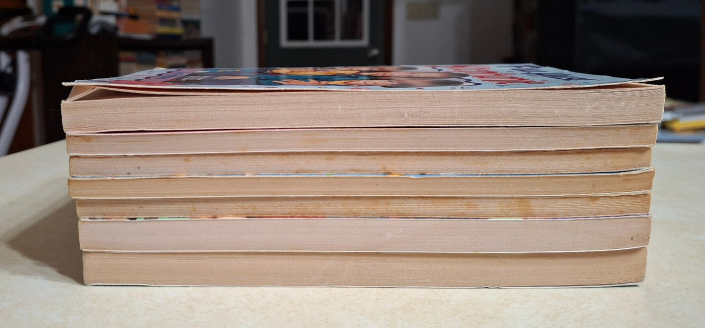 Full House Books Lot Vintage 1990s Stephanie Michelle Paperbacks Novels Chapter