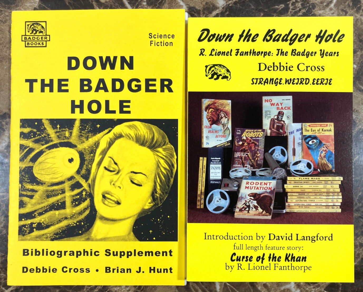 Down The Badger Hole – R. Lionel Fanthorpe The Badger Years By Debbie Cross 1995