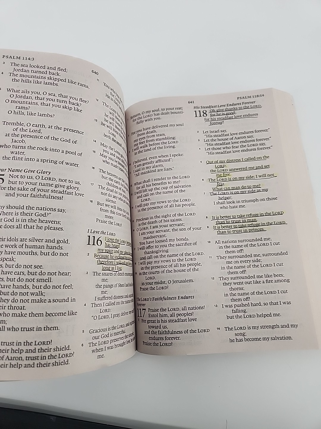 ESV Economy Bible, Giant Print by ESV Bibles