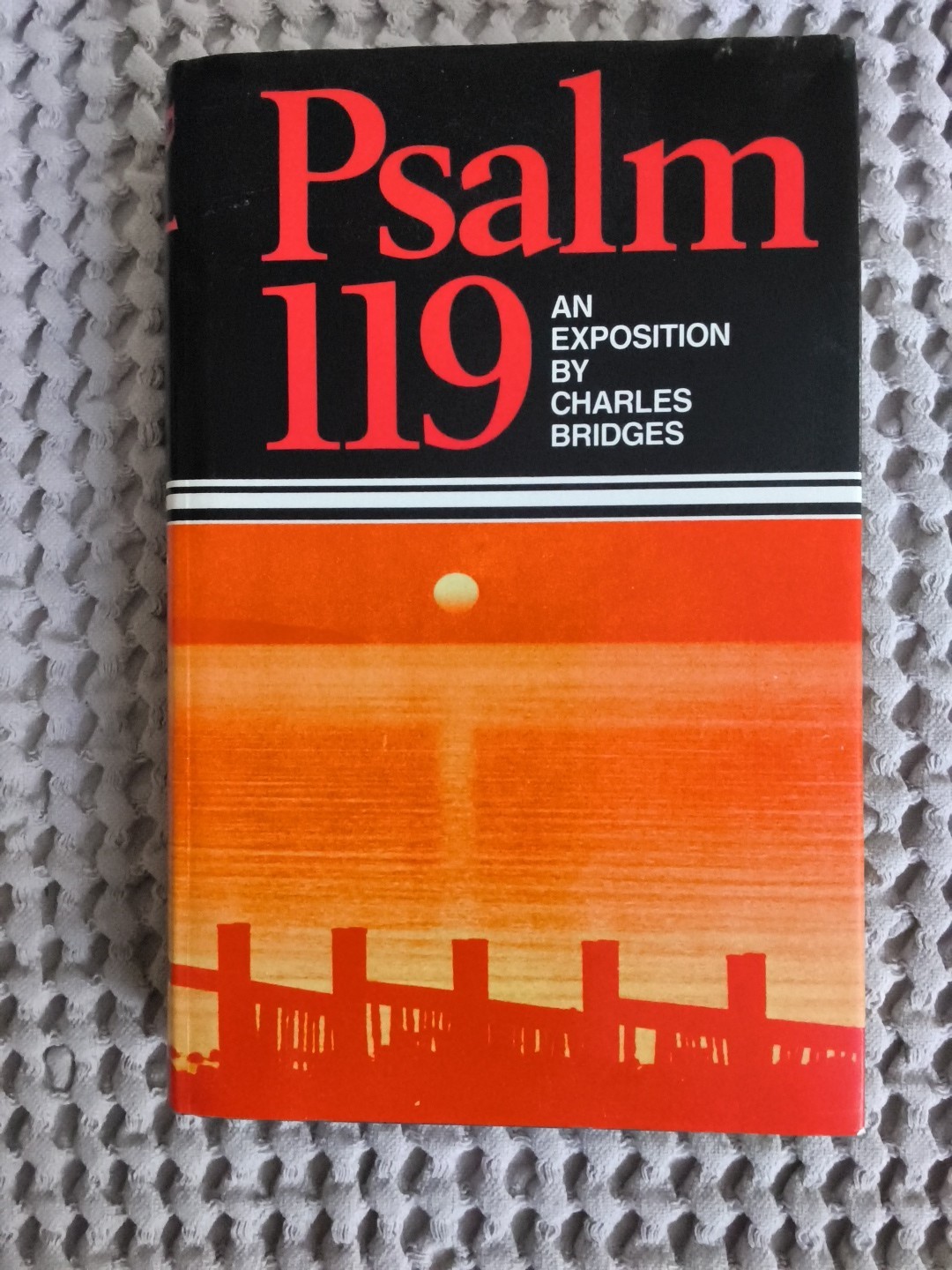 Psalm 119 by Charles Bridges