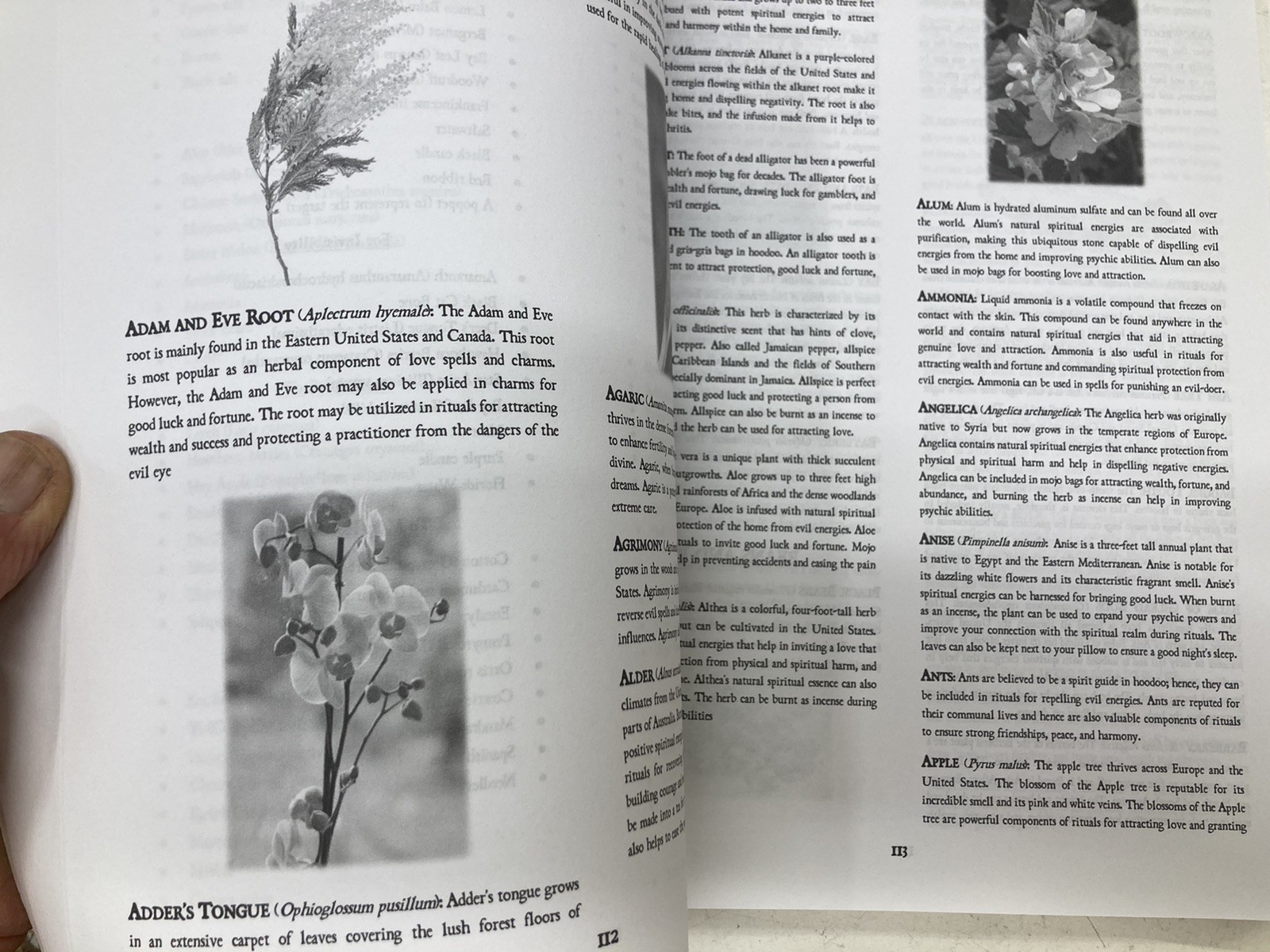 The Hoodoo Bible. The 7-in-1 Root Doctor’s Companion To Black Magic. Paperback