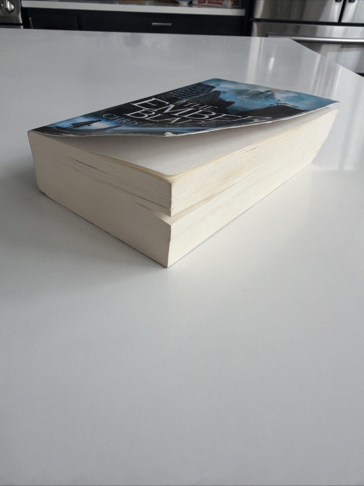 The Ember Blade: A breathtaking fantasy adventure by Chris Wooding: Used