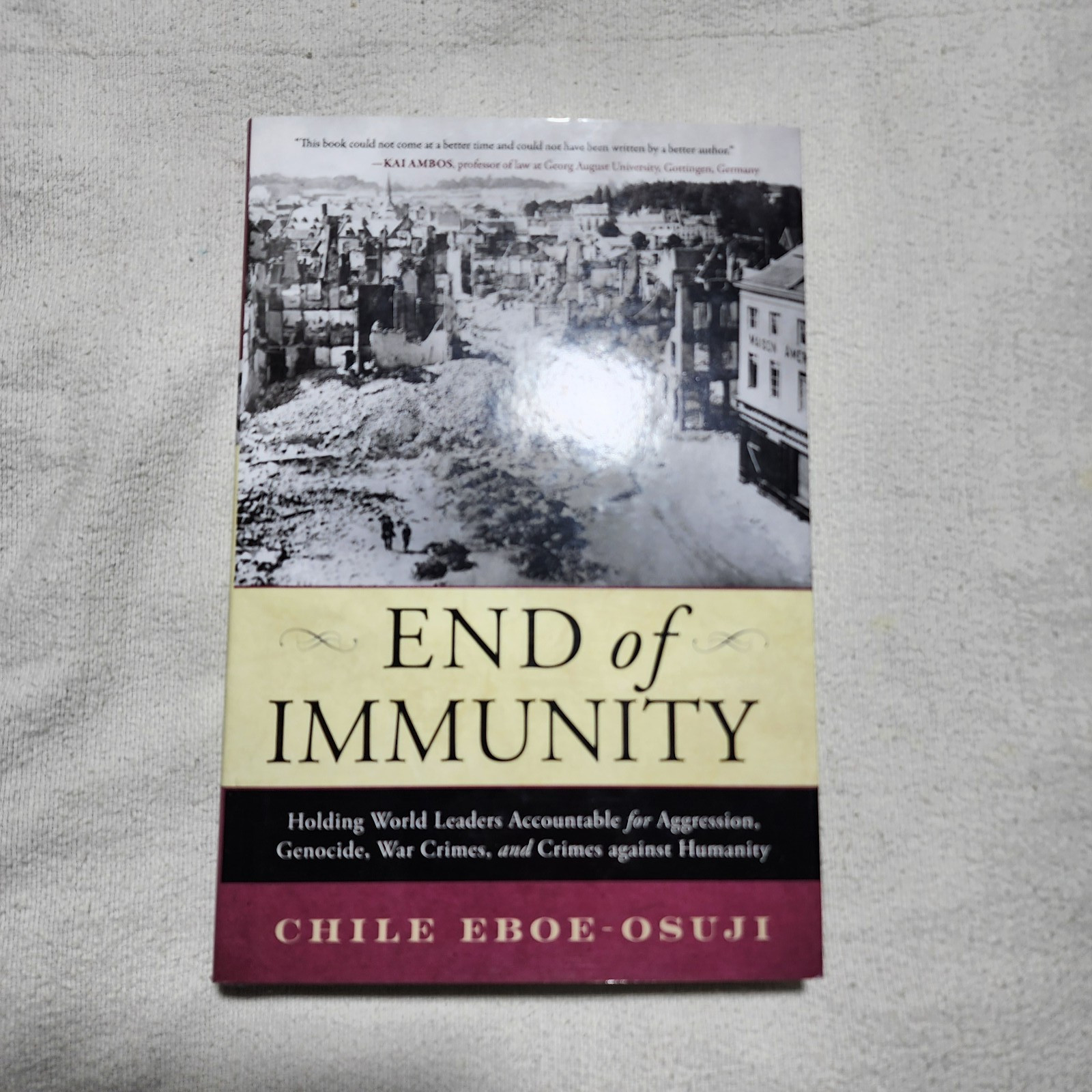 End of Immunity : Holding World Leaders Accountable for Aggression, Genocide,…