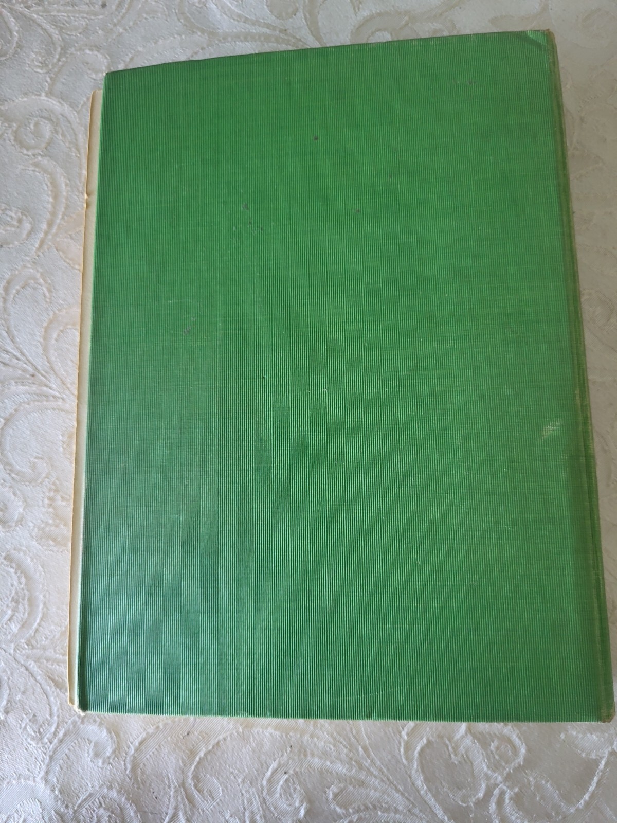 GNOME King of Oz ~ Ruth Plumly Thompson 12 COLOR PLATES 1927 John R. Neill