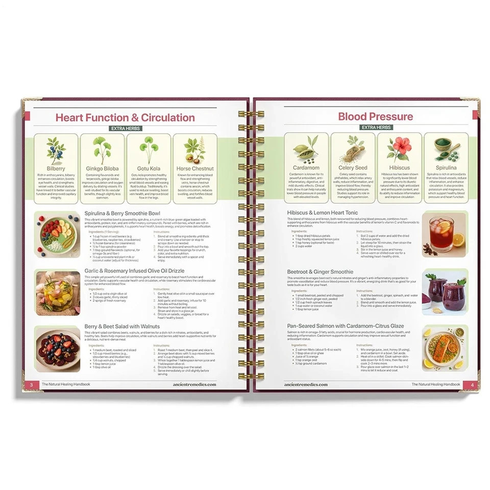 The Natural Healing Handbook by Ancient Remedies Spiral Bound Reference