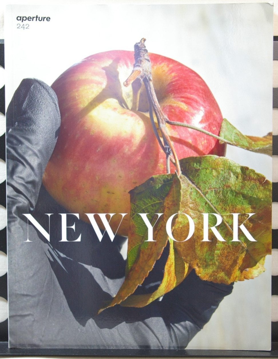 Aperture Magazine – Aperture 242 : Spring 2021 : New York