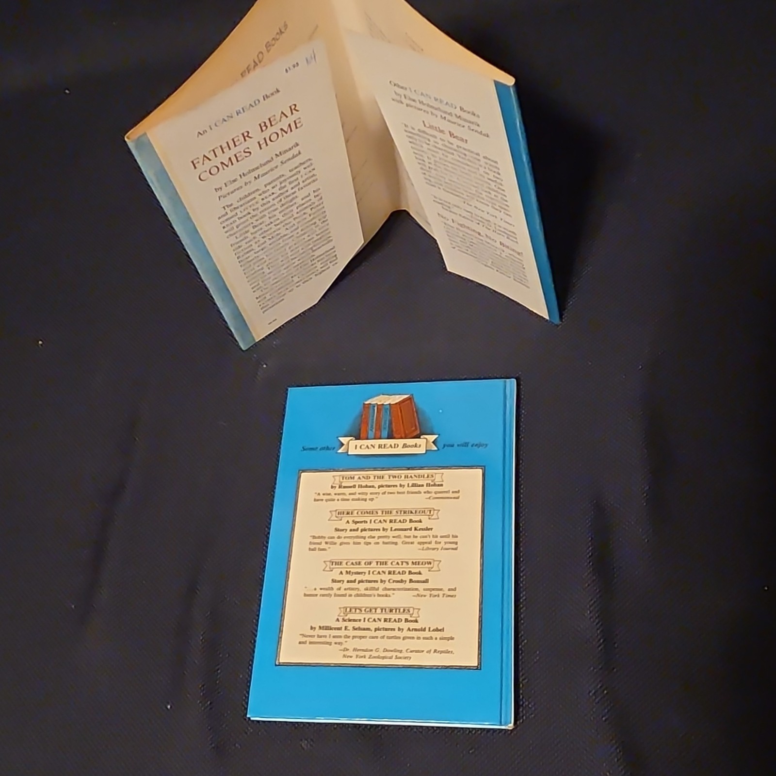 Father Bear Comes Home Minarik Sendak HC 1959 Inscribe 1st Edition Dust Jacket