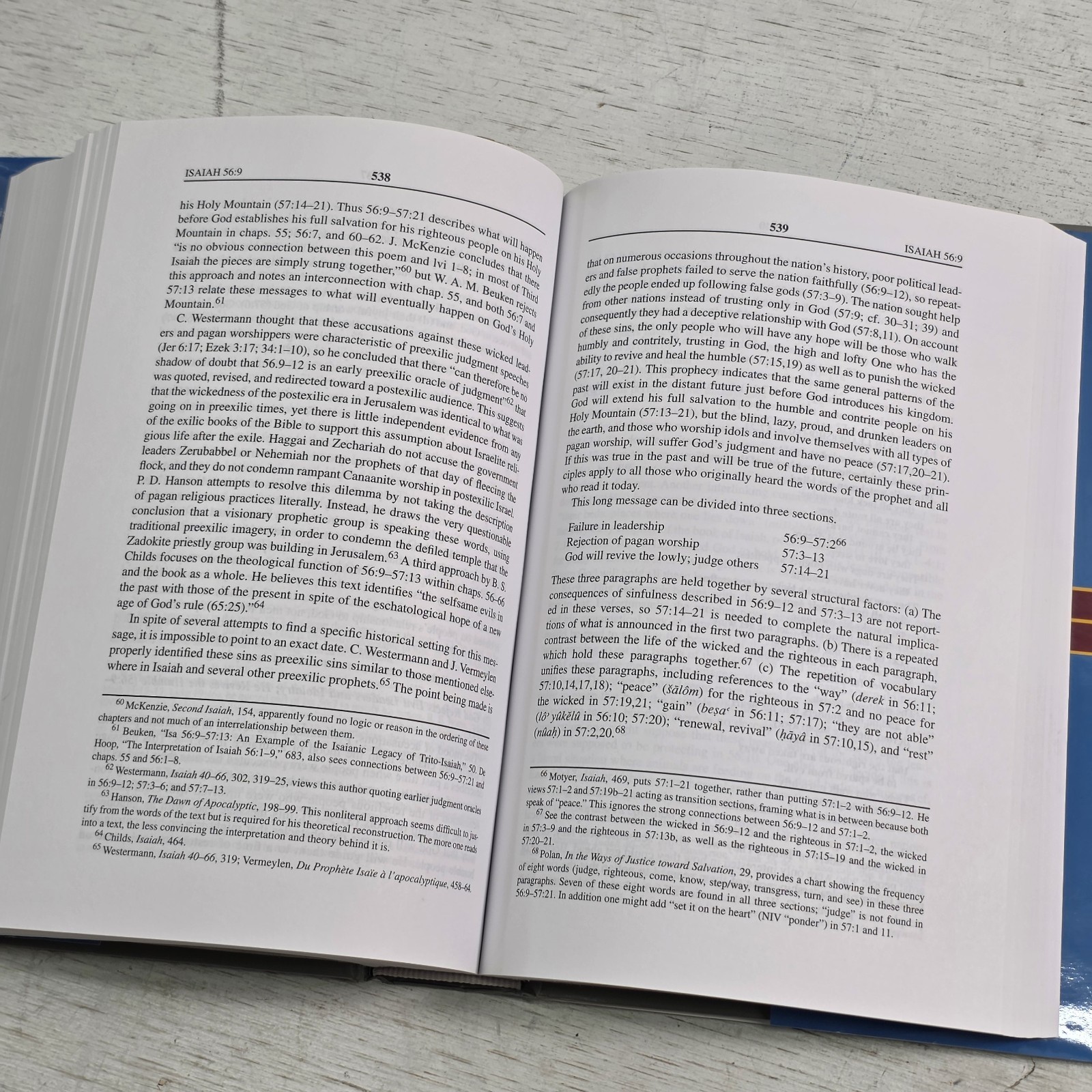 Isaiah 40-66: An Exegetical and Theological Exposition New American Commentary