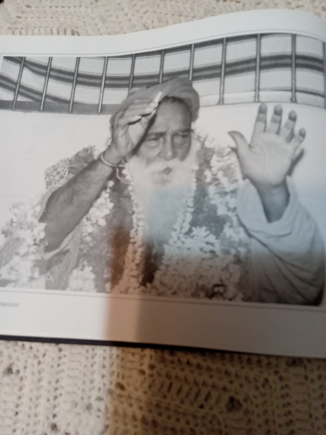 Facets of the Diamond Wisdom of India HCDJ 1994