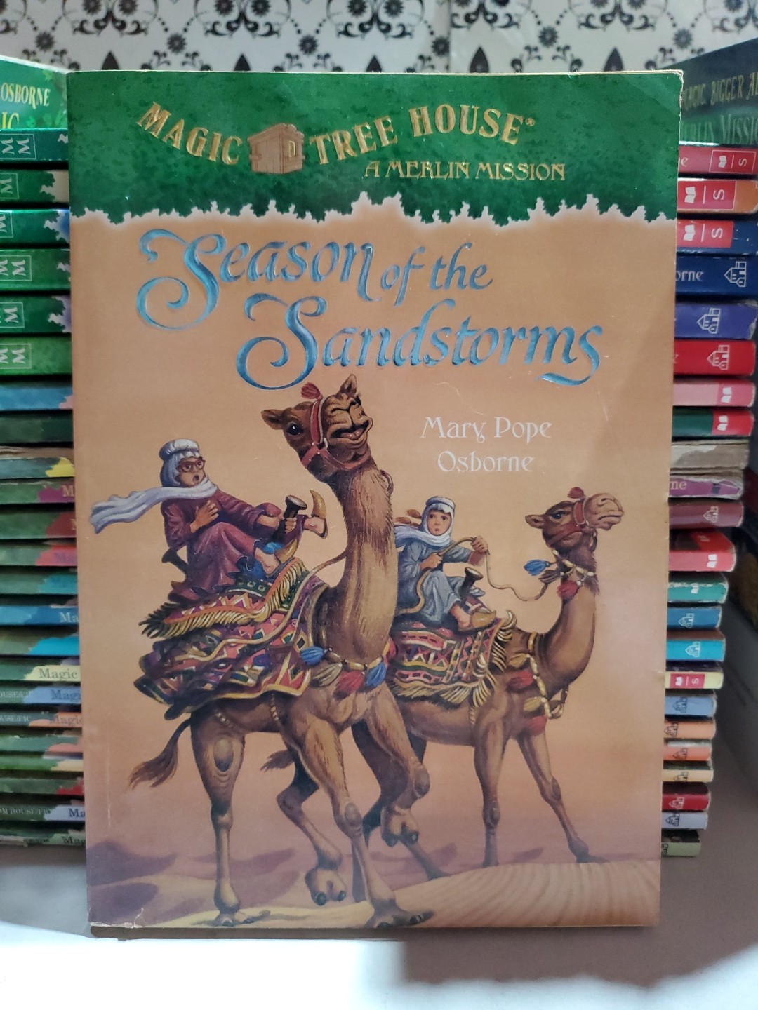 Magic Tree House 43Book Lot+Merlin Missions+Research Guide+ Extras Kids