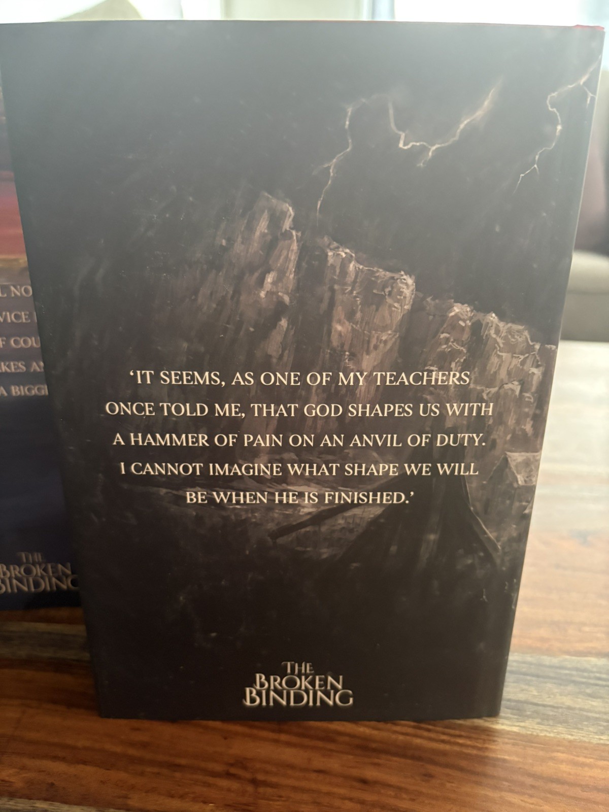 Memory, Sorrow, And Thorn by Tad William The Broken Binding (Tier 2)