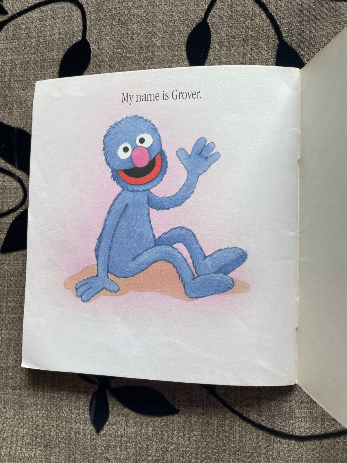 SESAME STREET. MY NAME IS GROVER. TISH RABE. 1994 – 15 BY 14CM. PAPERBACK.