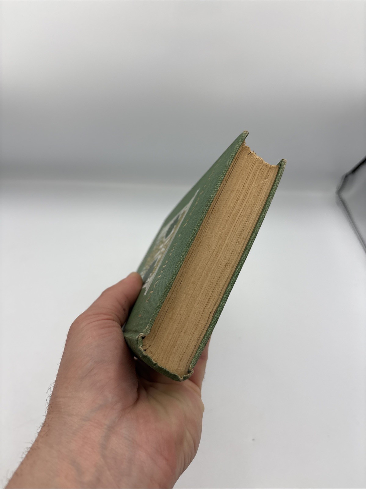 CECILIA, A Story of Modern Rome – F Marion Crawford – Macmillan Company, 1902