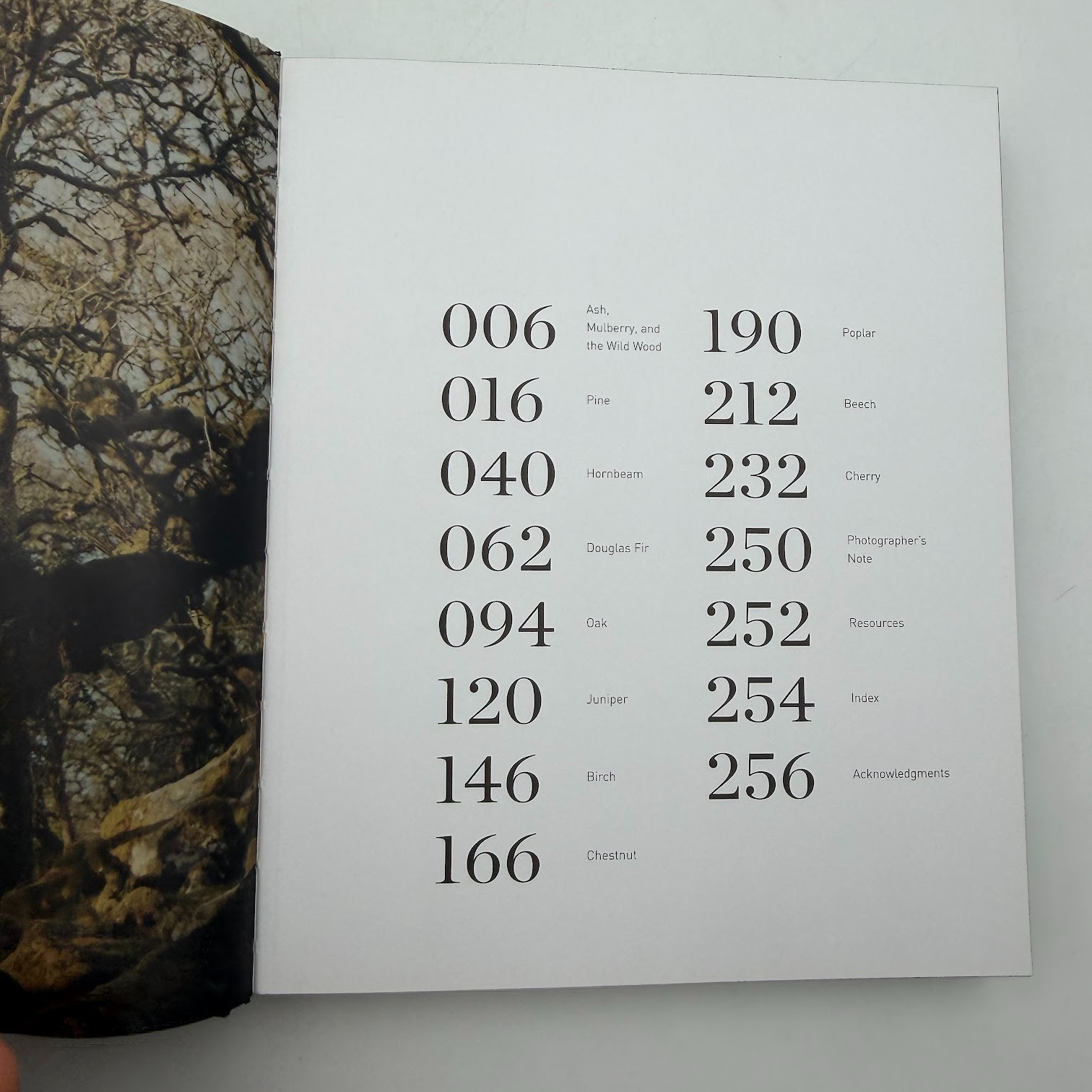 Forest by Matt Collins (2020, Hardcover) Tree Photography Book, Nature and World