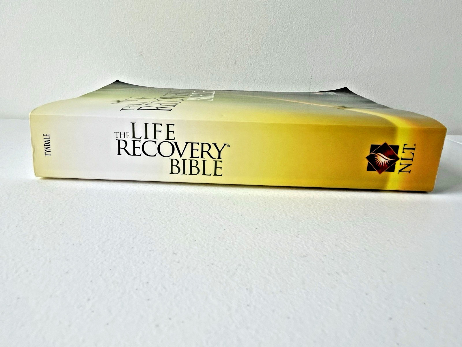 The Life Recovery Bible NLT (Softcover) by Tyndale 2013