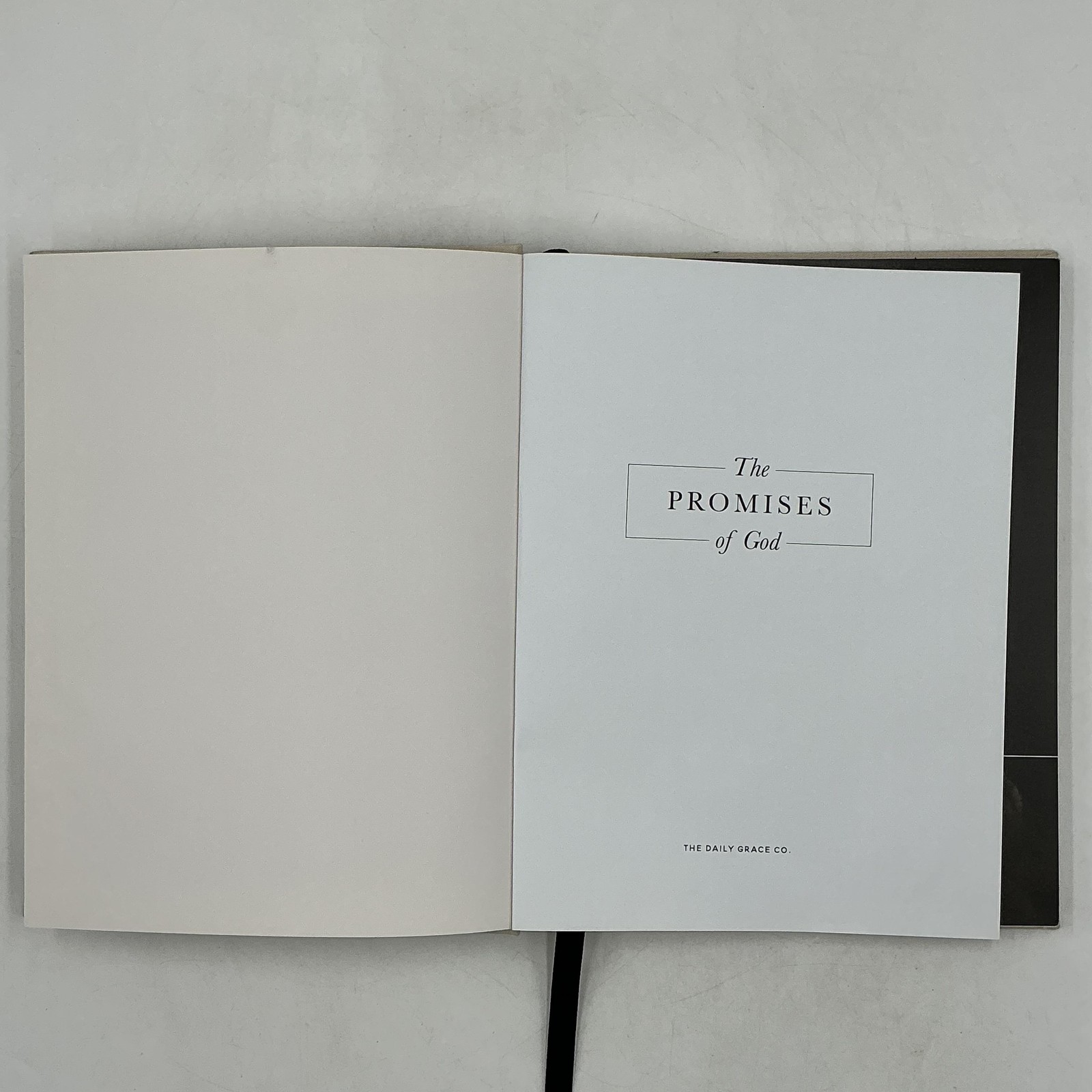 The PROMISES Of God By The Daily Grace Co. Hardcover Beige – Religious Book